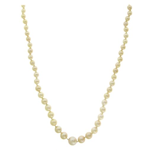 Graduated Cultured Pearl Necklace - Image 5